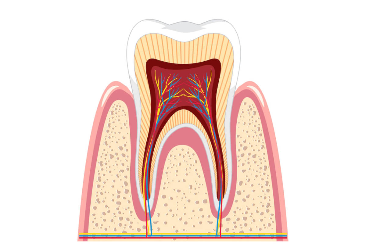 Root Canal Treatment
